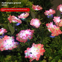 Single Hydrangea Pink
