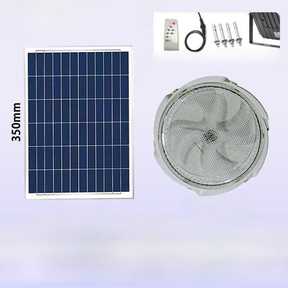 Solar Light