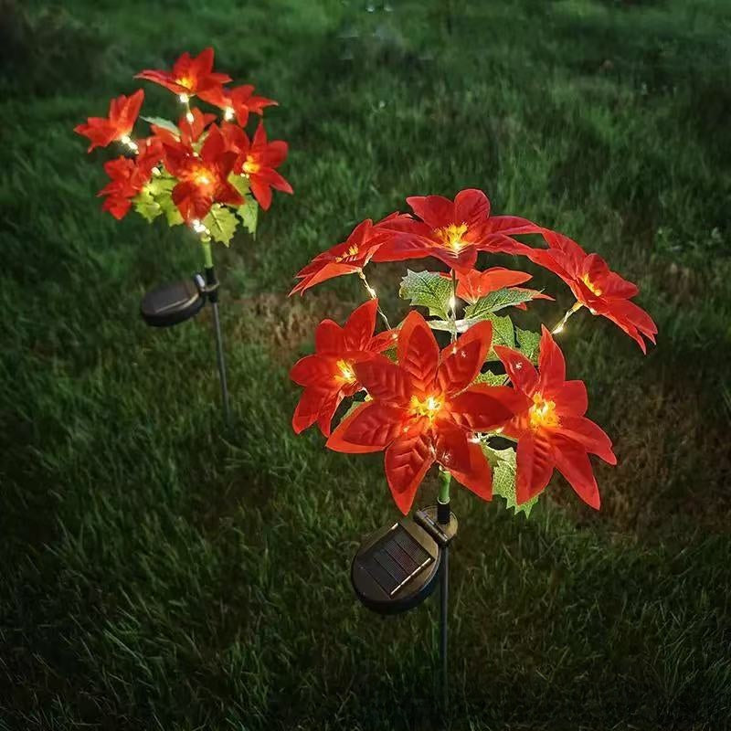 Solar Poinsettia Garden Lights