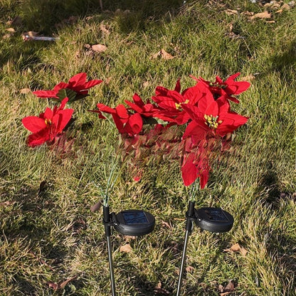 Solar Poinsettia Garden Lights