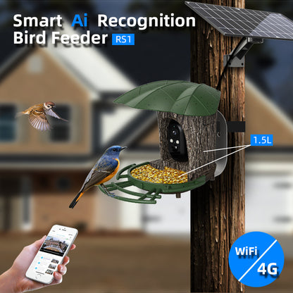 Solar Powered AI Bird Feeder with Camera and Night Vision