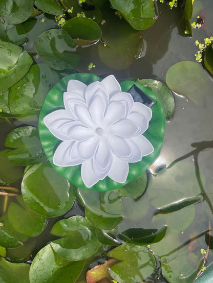 Solar Powered Colorful Floating Pool Light