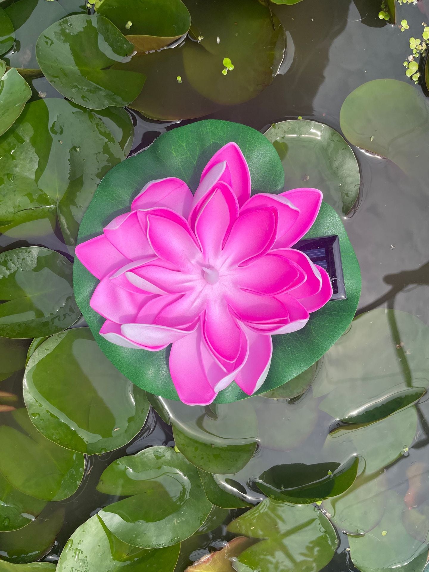 Solar Powered Colorful Floating Pool Light