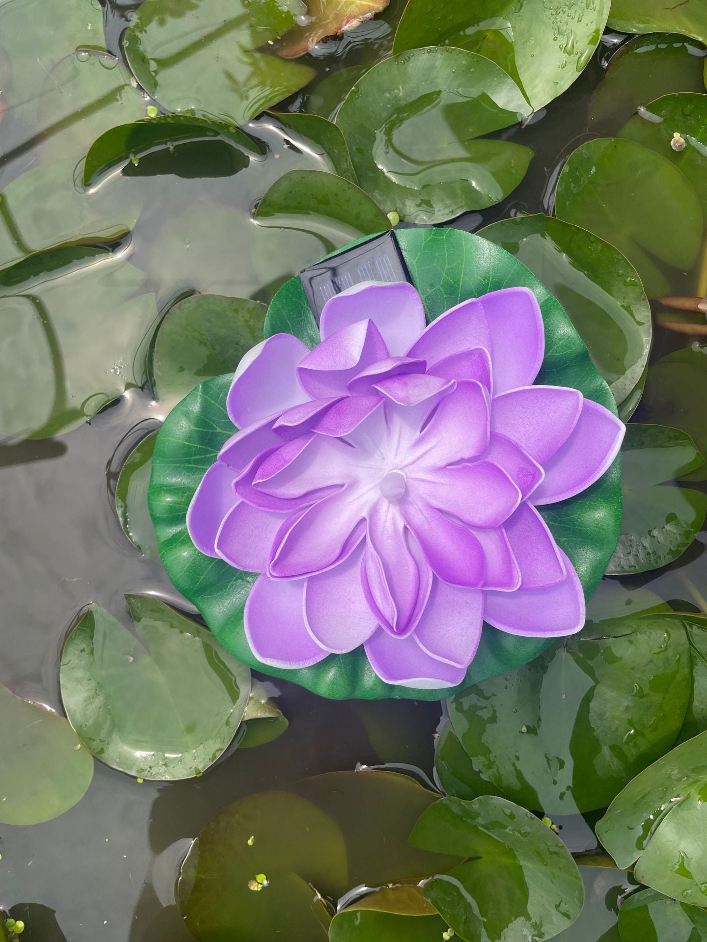 Solar Powered Colorful Floating Pool Light