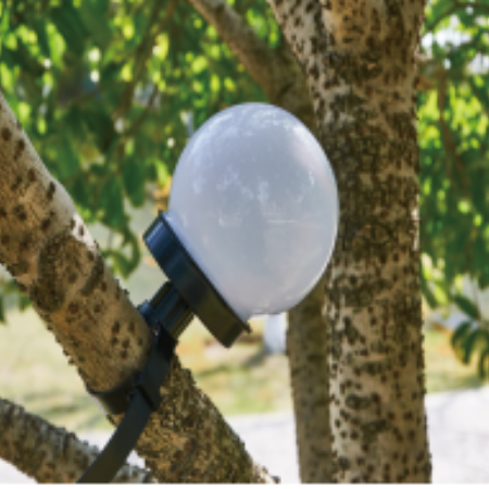 Solar Powered LED Garden Light with Motion Sensor