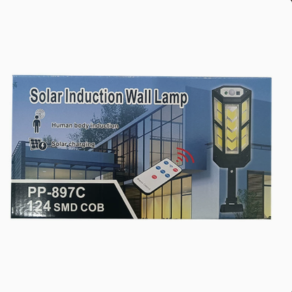 Solar Powered Outdoor Wall Light with Remote and Sensor