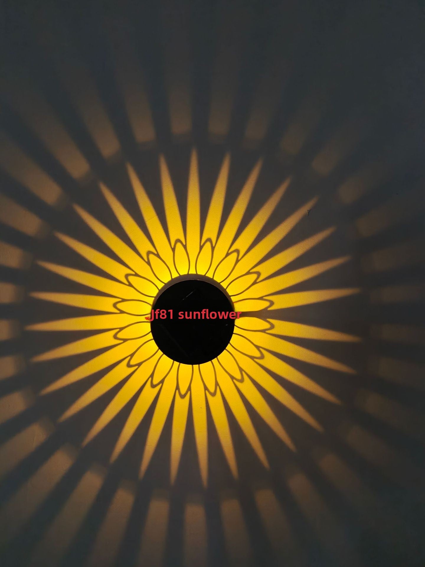 Solar Wall Lamp