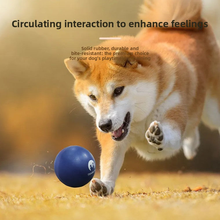 Solid Ball Elastic and Durable Chew Toy for Dogs
