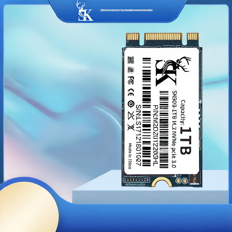 Solid State Drive 1TB