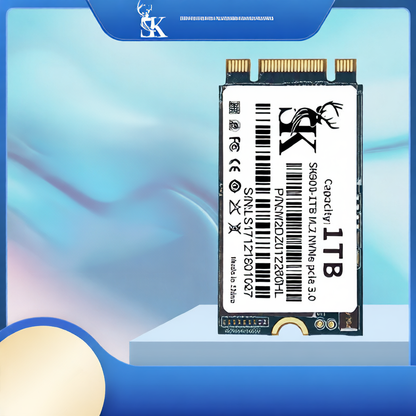 Solid State Drive 1TB