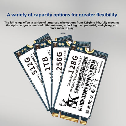 Solid State Drive 1TB