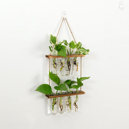 Solid wood hydroponic test tube wall-mounted unit