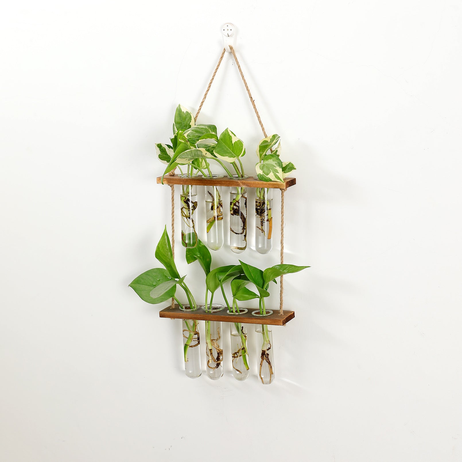 Solid wood hydroponic test tube wall-mounted unit