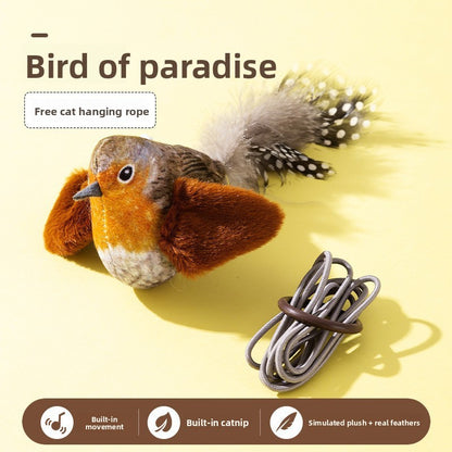 Sound Cat Toy