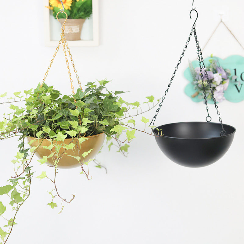 Spider plant potting container