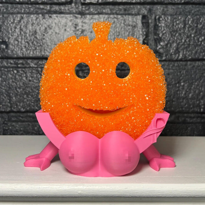 Sponge Drain Holder