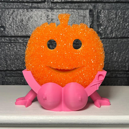 Sponge Drain Holder