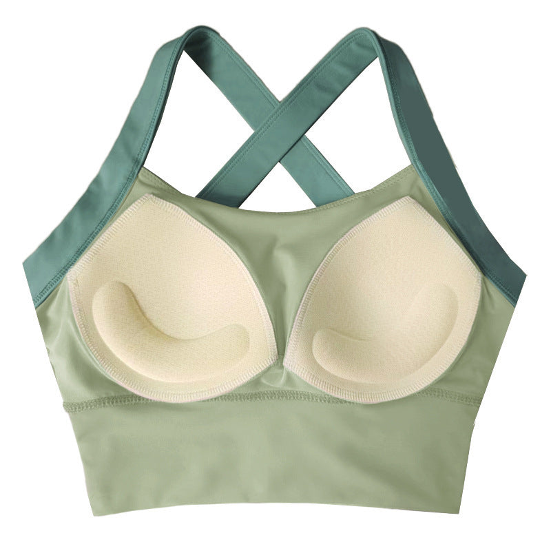 sports bra