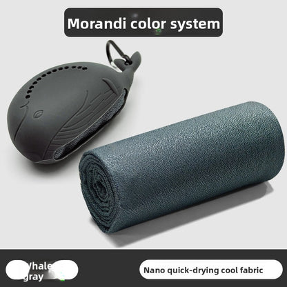 Sports Towel Microfiber
