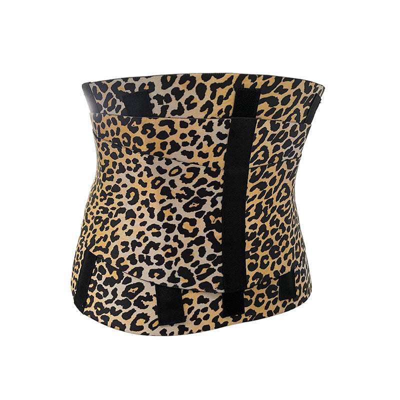 Sports waistband and abdominal belt