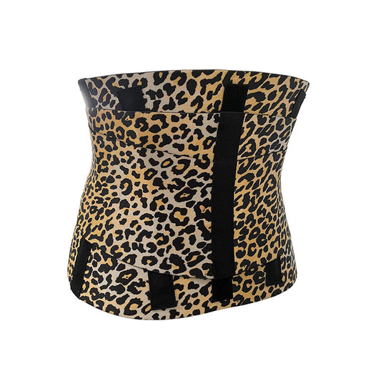 Sports waistband and abdominal belt