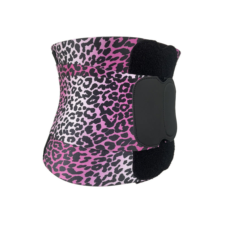Sports waistband and abdominal belt