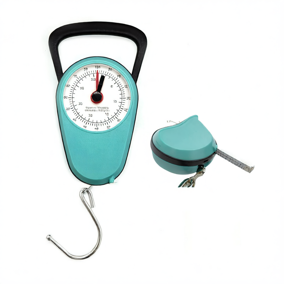 Spring portable scale