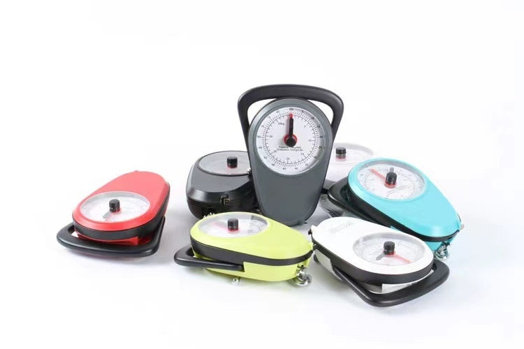 Spring portable scale