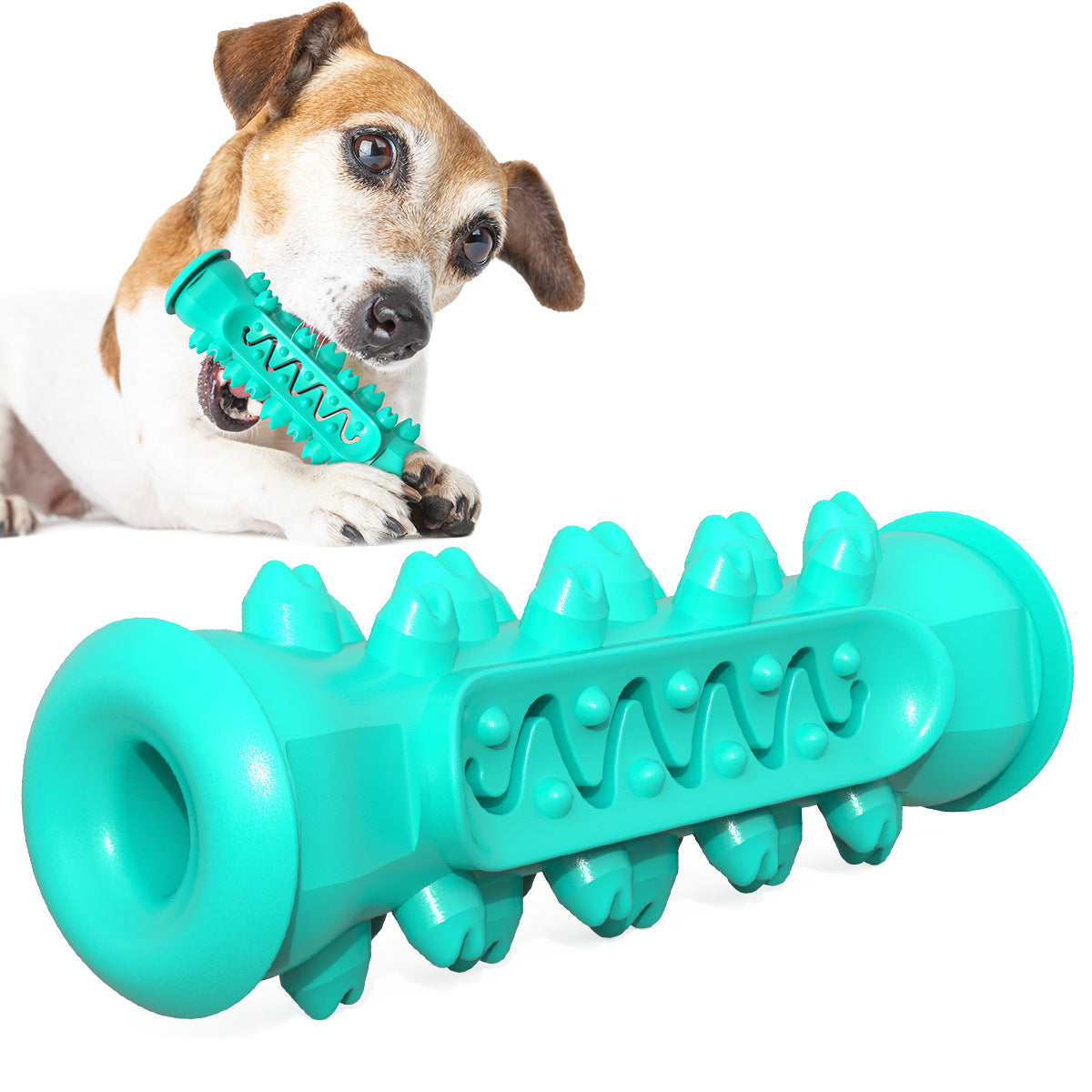 Squeaker Chew Toy for Dogs