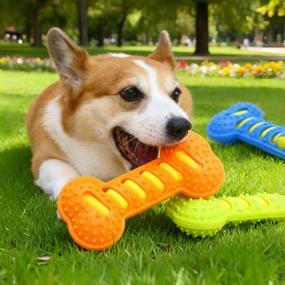 Squeaky Chew Bone Teeth Grinding Stick
