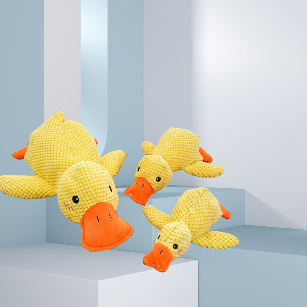 Squeaky Pet Toy