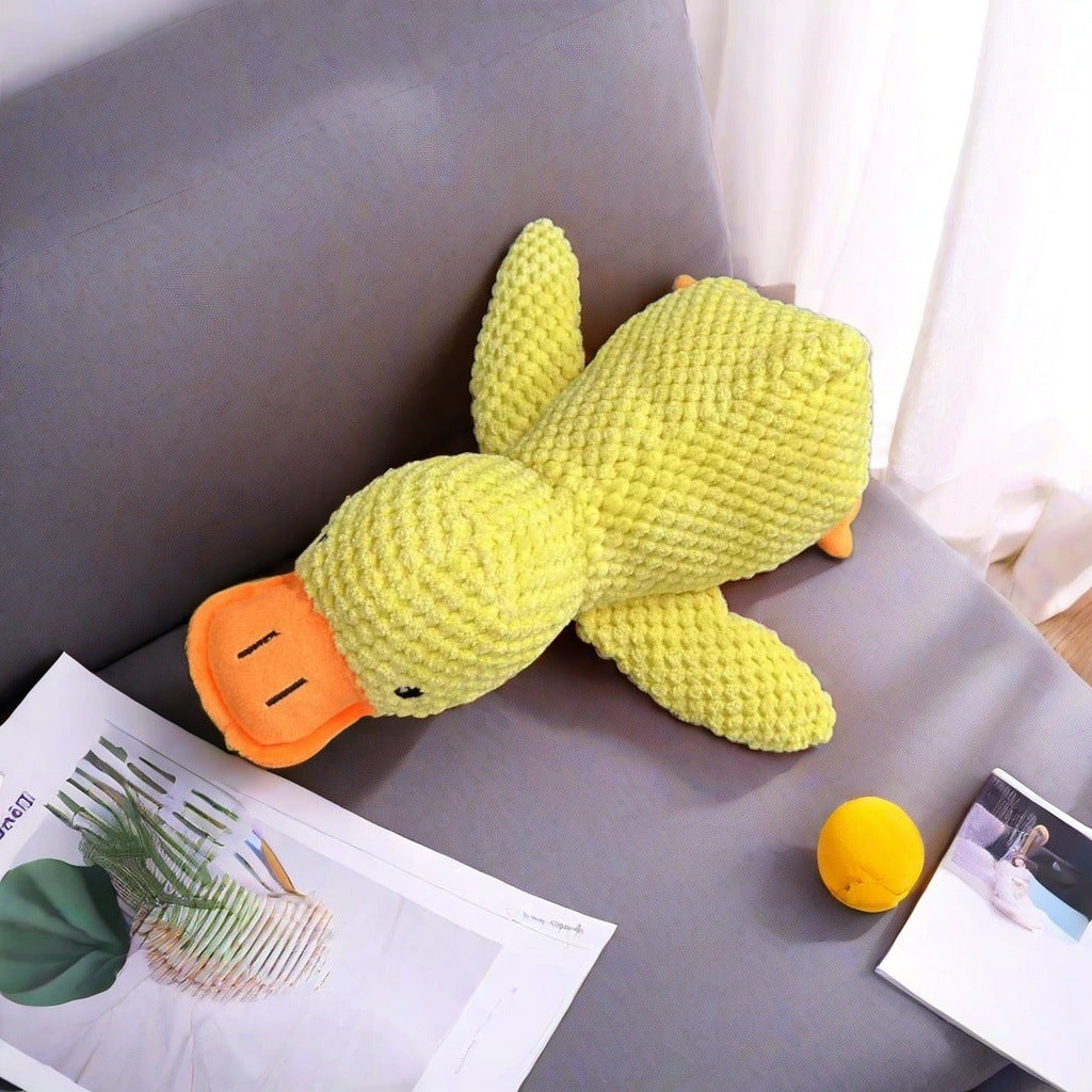 Squeaky Pet Toy
