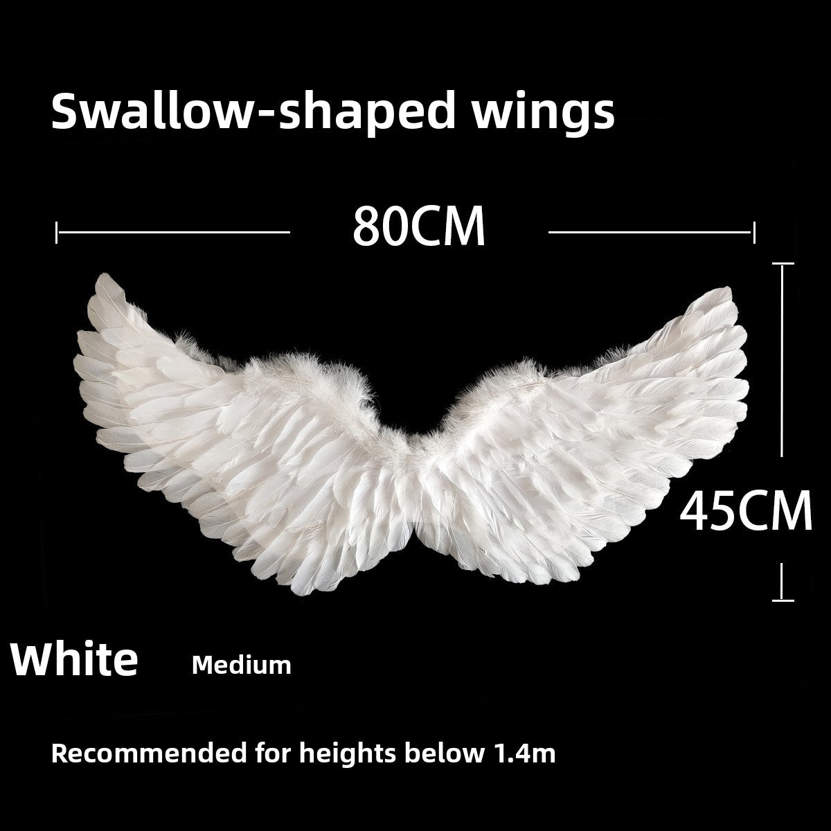 Stage performance with feather wings
