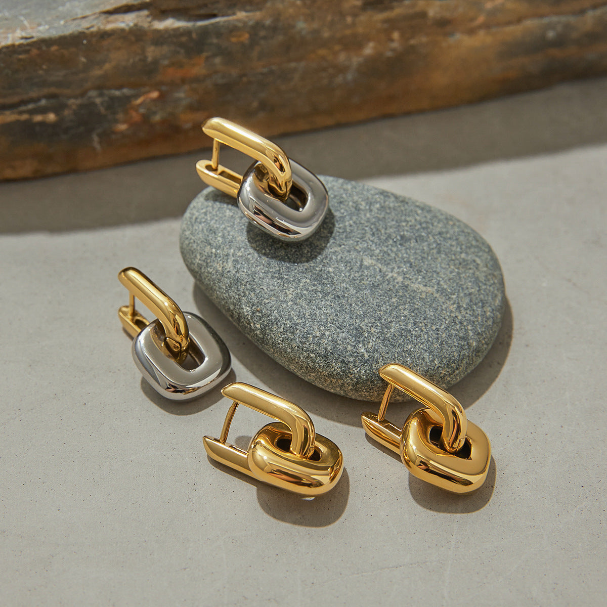 Stainless Earrings