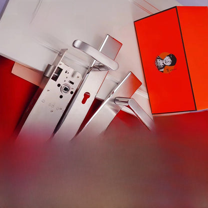 Stainless steel door lock