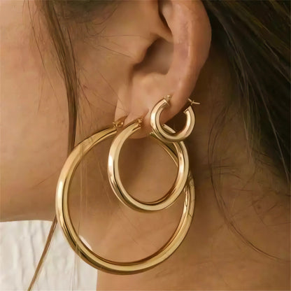 Stainless steel earrings earrings