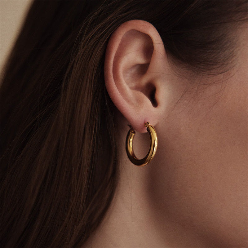 Stainless steel earrings earrings