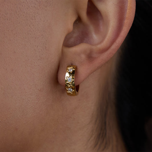 Stainless Steel Earrings