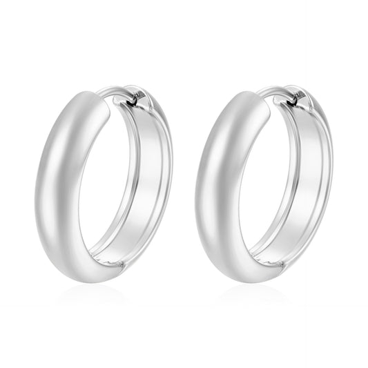 Stainless steel earrings