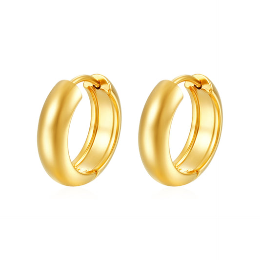 Stainless steel earrings