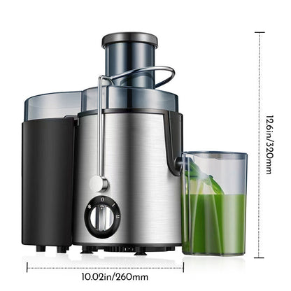 Stainless Steel Electric Juicer Blender
