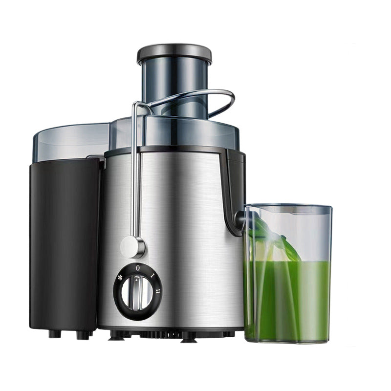 Stainless Steel Electric Juicer Blender