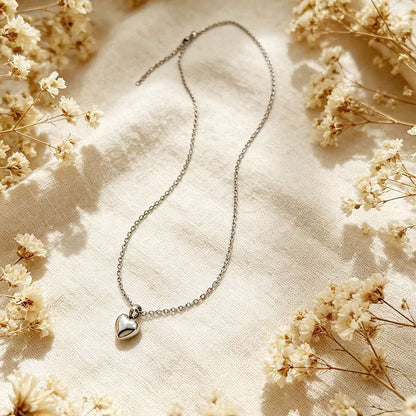 Stainless Steel Heart-Shaped Ash Necklace