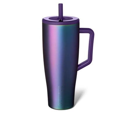 Stainless Steel Insulated Cup with Straw and Handle