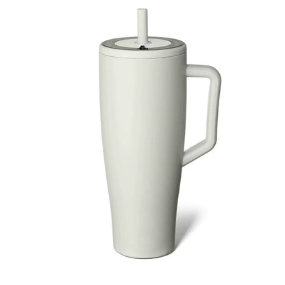 Stainless Steel Insulated Cup with Straw and Handle