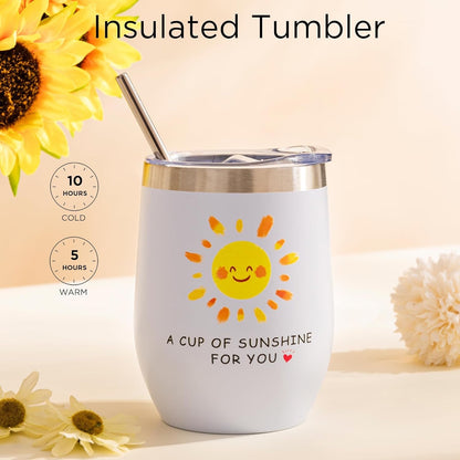 Stainless Steel Insulated Mug with Straw Gift Set