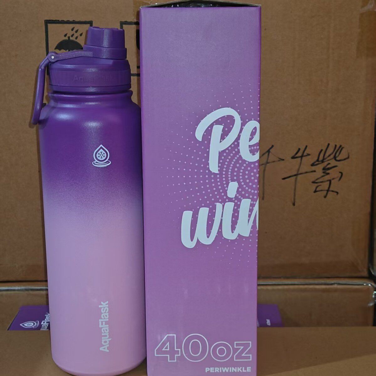 Stainless Steel Insulated Sports Water Bottle with Handle