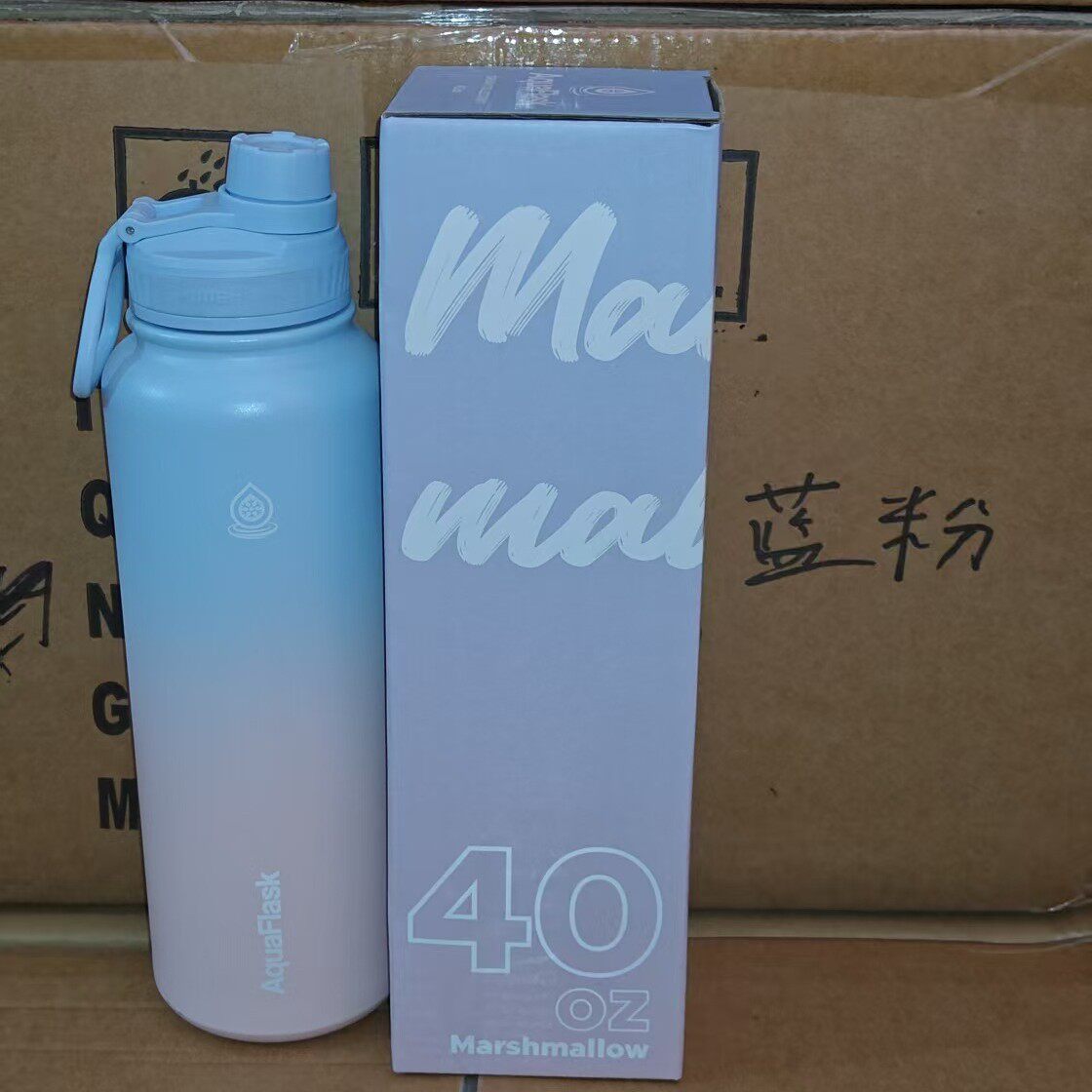 Stainless Steel Insulated Sports Water Bottle with Handle