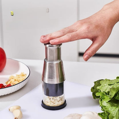 Stainless Steel Manual Garlic Crusher