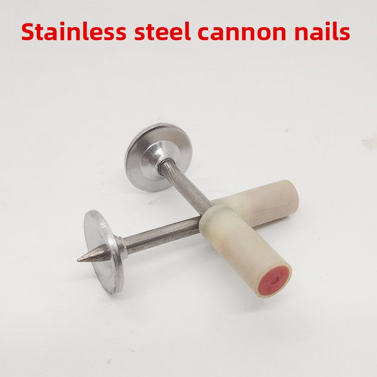 stainless steel nails